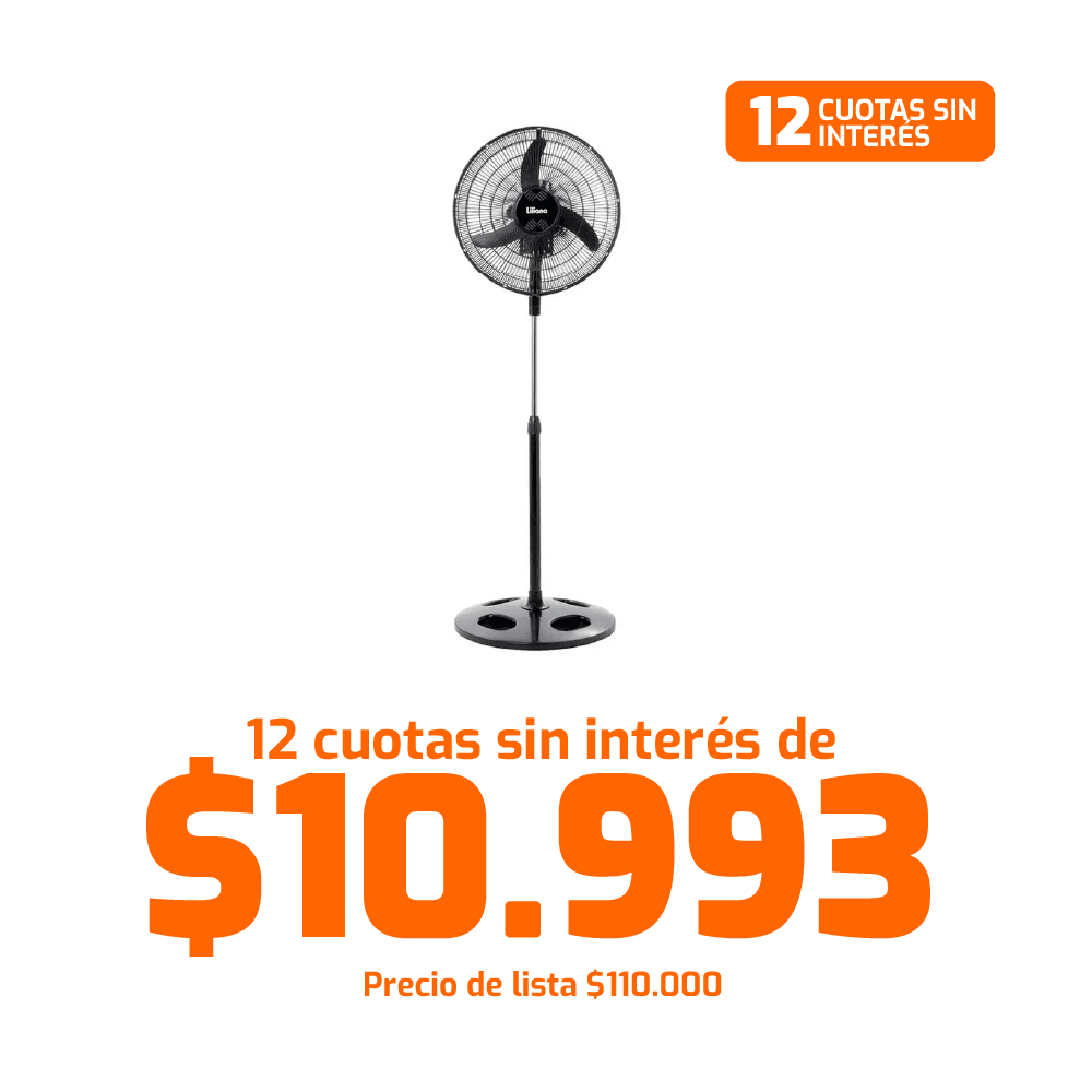 12 cuotas sin interés de $10.993 Precio de lista $110.000